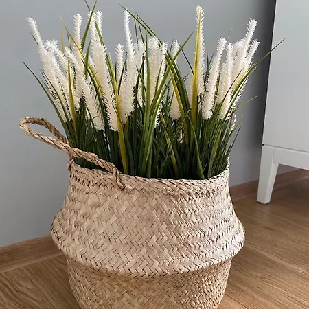 Jurincom U Thermala Apartmán *